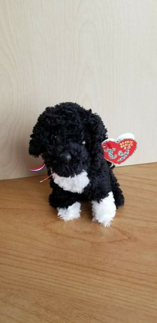 Ty Beanie Babies 2.  0 Bo Black & What Collie Dog Puppy,  Glitter American Bow Nwt