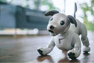 Sony Aibo Ers1000 White Robot Dog Japan Version