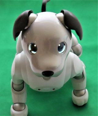 Sony Aibo Ers - 1000 White Robot Dog Pad Set Rare Ems Japan F/s
