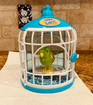 Little Live Pets Tweet Talking Birds Green Friendly Frankie In Birdcage