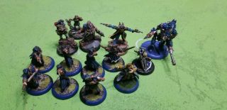 Painted Warmachine Hordes Cygnar Army