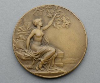 French Medal.  Nude Woman Marianne Female Gallia.  Art Nouveau.  By Pillet.