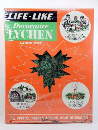 Life - Like Decorative Lychen S065r - 139,  Vintage Large Size Box