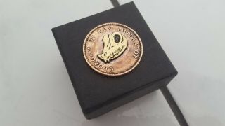 Hobo nickel.  Hand carved coin.  1 penny.  South Africa.  1945.  Croco skull.  By Defo 3