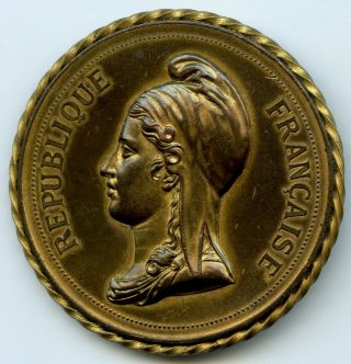 France Gilded Commemorative Medal Of The Taking Of The Bastille 1789 – 1889 60mm