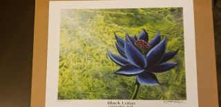 Black Lotus Print Signed By Christopher Rush