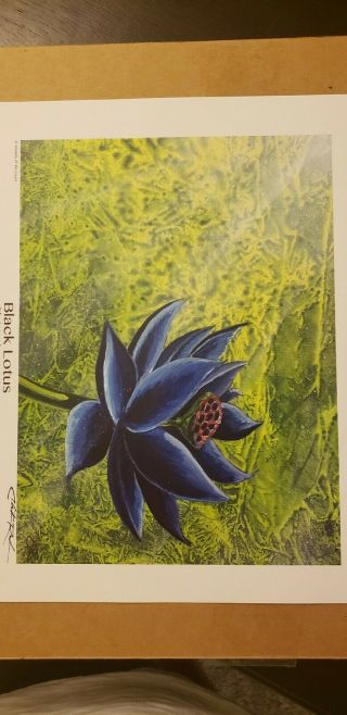 Black lotus print signed by Christopher Rush 3