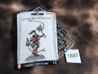 Warhammer Fantasy Aos Age Of Sigmar Chaos Skarr Bloodwrath 1887