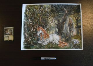 MtG Art Lonesome Unicorn Painting Artwork Magic Gathering Eldraine 2