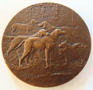 Antique French Bronze Dog Medal 5 Different Breeds 1923 By Rivet