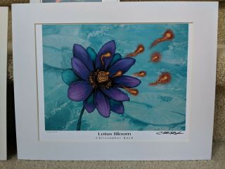 Lotus Bloom Color 8.  5 X 11 Inches Signed By Christopher Rush Mtg