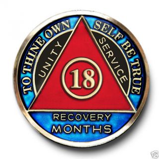18 Months Blue/red/blk Aa Anniversary Recovery Coin/medallion