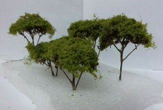 N Scale Hand Made Deciduous Trees