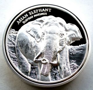 Endangered Wildlife Asian Elephant,  Elephas Maximus Bu Proof Medal 40mm 55g B9