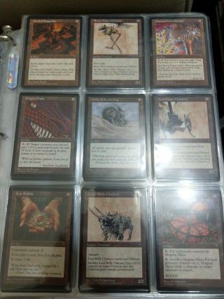 Complete Magic The Gathering Visions Edition