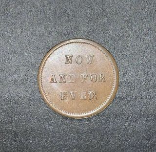 Civil War Token CWT,  Patriotic,  Andrew Jackson / Now And Forever SHAPE 3