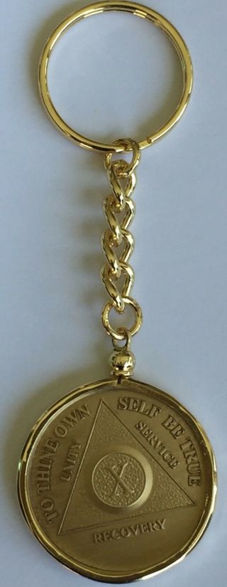 Aa Medallion Holder Sobriety Chip Keychain 18k Gold Plated Coin Token Key Chain