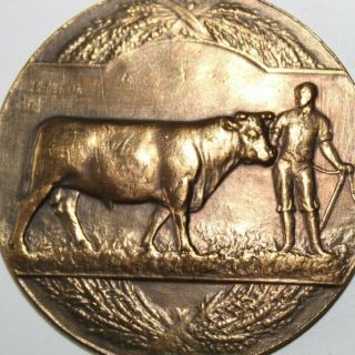 Old Bronze Agricultural Art Medal,  The Bull,  Cattle,  1928