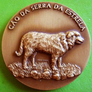 L@@k Animal Breed Estrela Mountain Guardian Dog Canine Kennel Club Bronze Medal