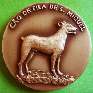 Animal Cattle Dog Breed Cão Fila De São Miguel Canine Kennel Club Bronze Medal