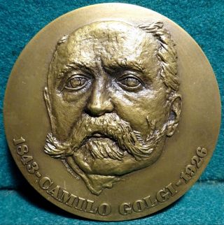 Medicine Nobel Prize Camillo Golgi / Nervous System 80mm 1973 Bronze Medal