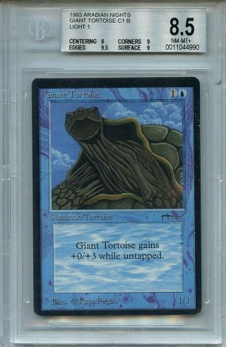 Mtg Arabian Nights Giant Tortoise Bgs 8.  5 Nm - Mt,  Light Card 4990