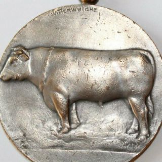 Old Silvered Bronze Agricultural Art Medal,  The Bull,  Cattle,  1953