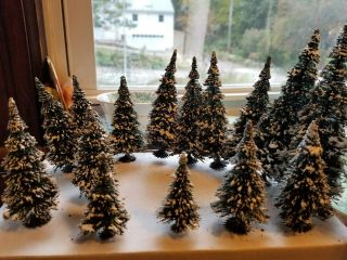 15 Ho Scale Pine Trees With Snow