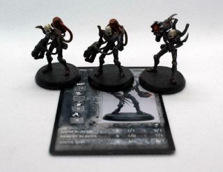 At - 43 28mm Therian Storm Golem X3 W/ Special Weapons Rackham W/ Cards