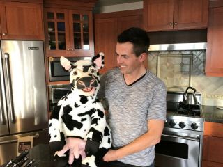 Axtell Expressions Cow Puppet Includes Utters