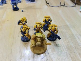 Warhammer 40k 6 Imperial Fists Space Marine Kill Squad Painted With Terminator