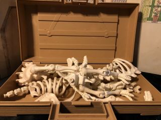 Vintage 1980s Fisher Price 6613 - Design - A - Saur Bones - Dinosaur Set With Case