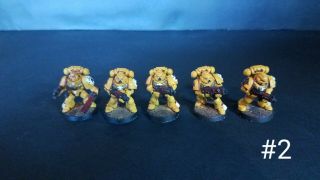 Warhammer 40k Imperial Fists Space Marine Tactical Squad 2 Painted