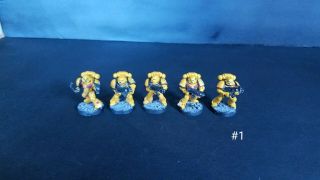 Warhammer 40k Imperial Fists Space Marine Tactical Squad 1 Painted