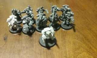 Games Workshop Warhammer 40k Space Wolves Blood Claws/grey Hunters And Rune Prie