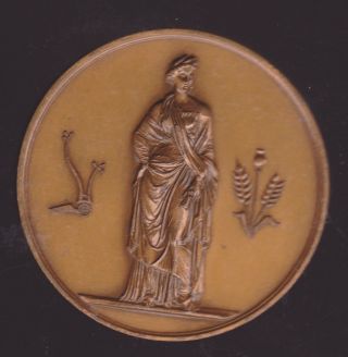 French Bronze Agriculture Medal,  Standing Marianne - - Chicken Cow Sheep Horse Pig