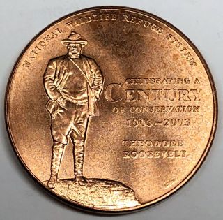 6960c Teddy Roosevelt Bronze Medal,