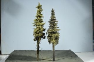 Professionally Made Model Fir Trees,  16 & 18 " High,  N - Ho - O - S,  Priority