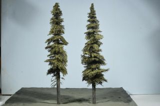 Professionally Made Model Fir Trees,  18 " High,  N - Ho - O - S,  Priority