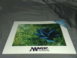 Black Lotus Chroma - Cel Print Magic The Gathering Mtg Rare