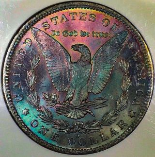 1884 - O Morgan Dollar Ngc Ms64 Vibrant Rainbow Toned Violet Plum & Emerald Toning