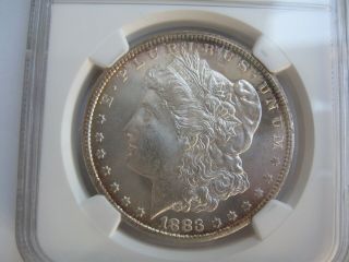 1883 CC $1 Morgan Silver Dollar NGC MS65 PL Toning 2
