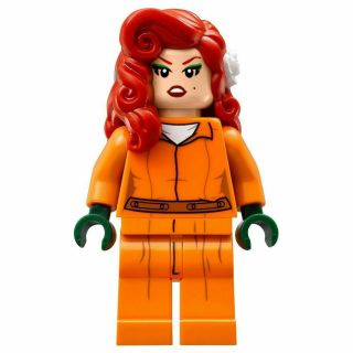 Lego Poison Ivy Minifigure Arkham Asylum Prison | Batman Movie 70912 Minifig